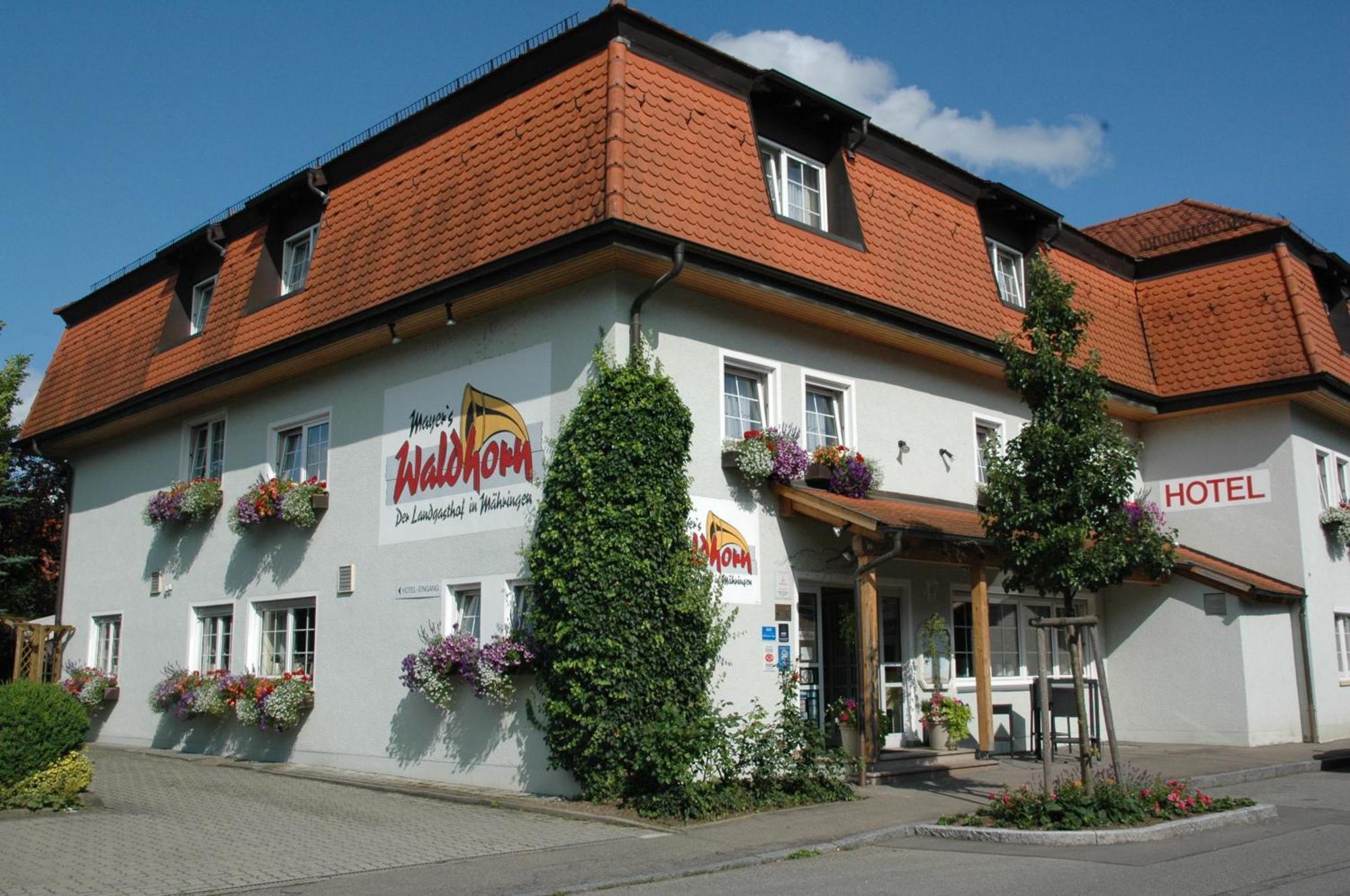 Mayers Waldhorn - Zwischen Reutlingen Und Tuebingen Kusterdingen Eksteriør billede